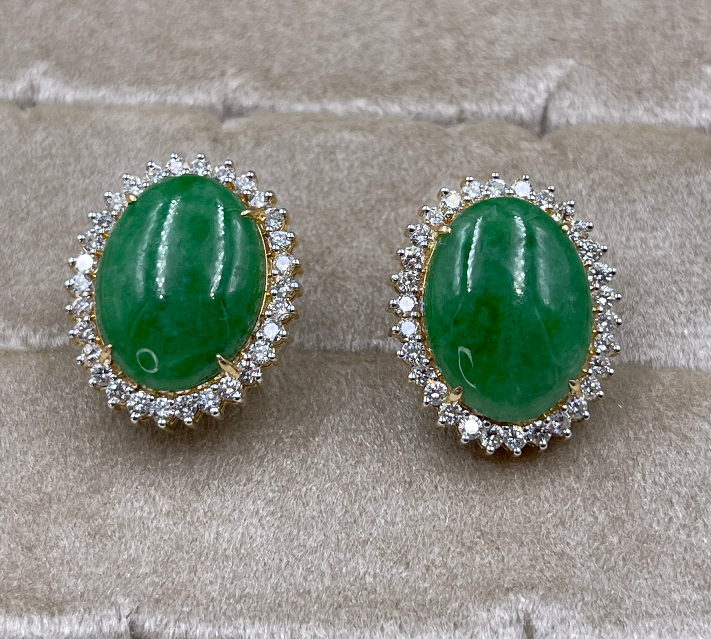 14K Yellow gold oval jade earrings